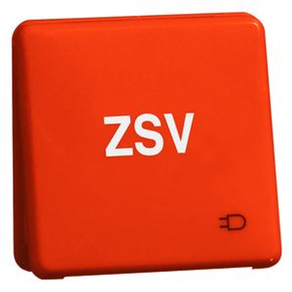 STANDARD wcd 1-voudig, met ra, schroefklapdeksel opdruk ZSV, oranje image 1