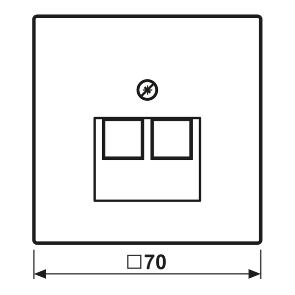 Centre pl.f.2-gang mod. jack sockets LS969-2UASWM image 2