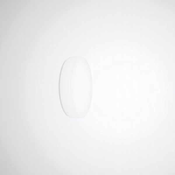 Wall and ceiling luminaire Olisq R Diffuser White around ET 15W 1900lm Lambertian (L) IP40 IK03 3 SDCM 8193240 image 1