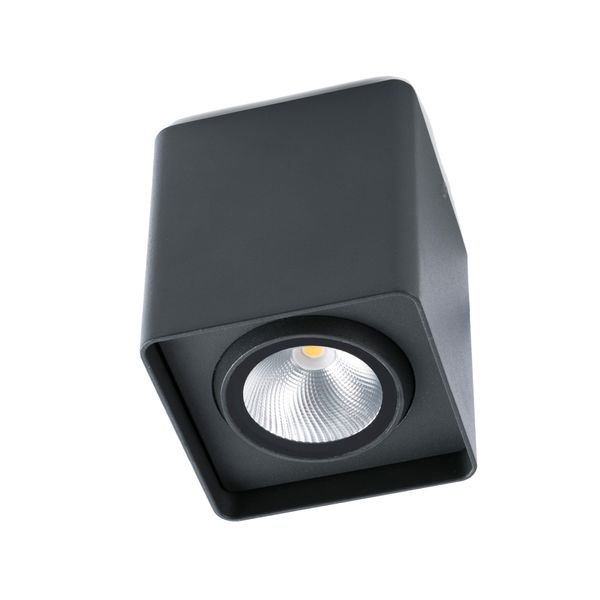 TAMI LED DARK GREY CEILING LAMP CREE LED 12W 3000K image 1