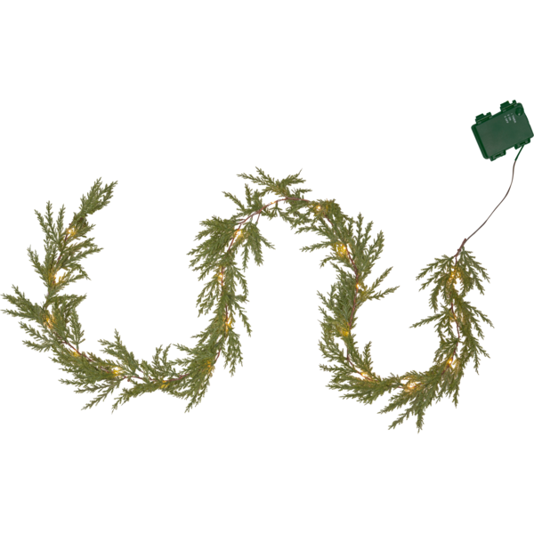 Garland Thuja image 1