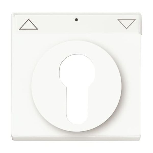 1755 SL/PZ-884-101 CoverPlates (partly incl. Insert) future®, Busch-axcent®, carat® studio white matt image 2