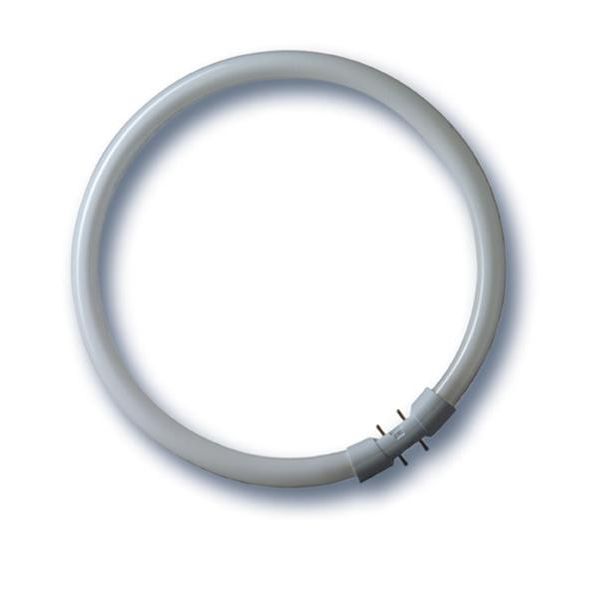 Bonalux®Ring , NL-T5 22W/840C/2GX13 image 1