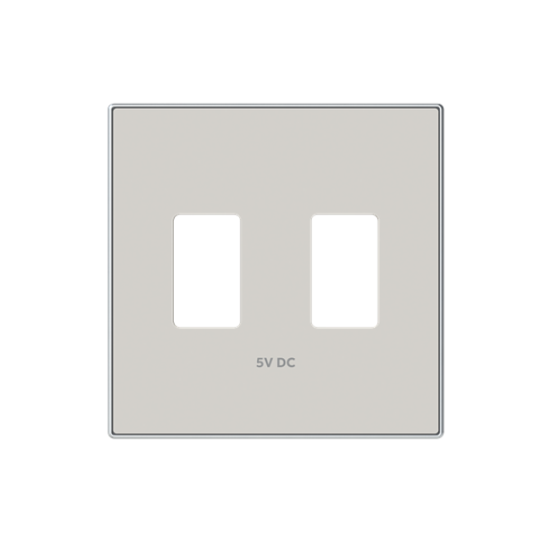 8585.3 DN USB charger double CP USB 2 gang Sand - Sky Niessen image 1