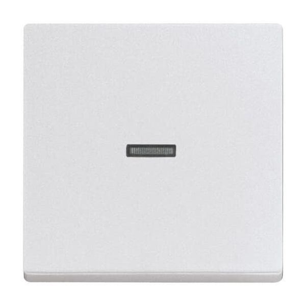 1789 N-84 CoverPlates (partly incl. Insert) future®, Busch-axcent®, solo®; carat® Studio white image 5