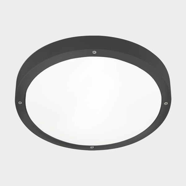 Ceiling fixture IP66 BASIC LED 21.4W 2700K Urban grey 2500lm image 1