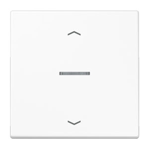 Centre plate for motor control inserts FMLS5232WW image 1