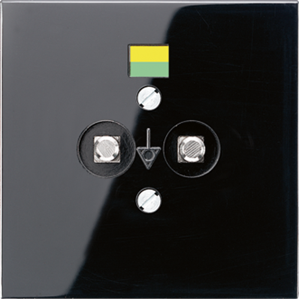 Potential equalisation socket LS965-2SW image 1