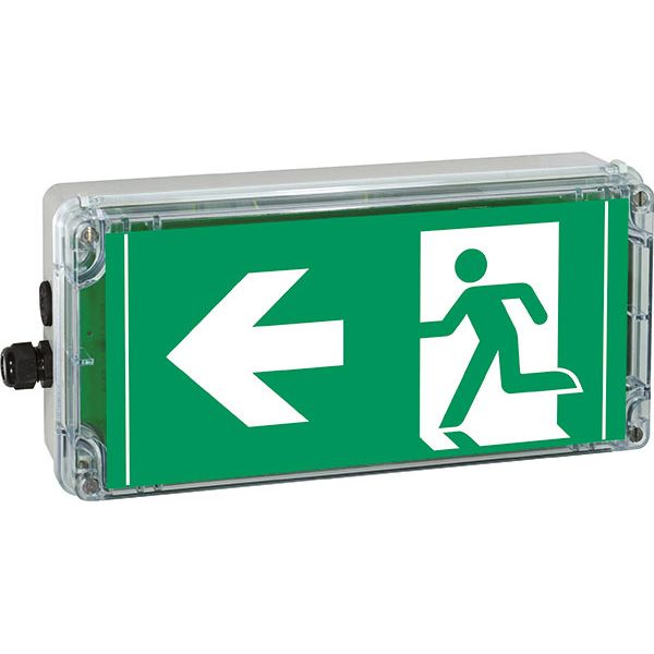 Ex-escape sign luminaires EXIT V-CG-S for emergency light function for zone 1/21, Pictogram: DIN ISO 7010, Arrow: 9 Clock image 1