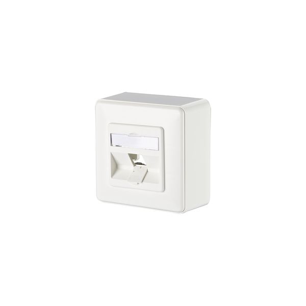 Modul wall outlet surface mounted 1 port unequipped pure white image 1