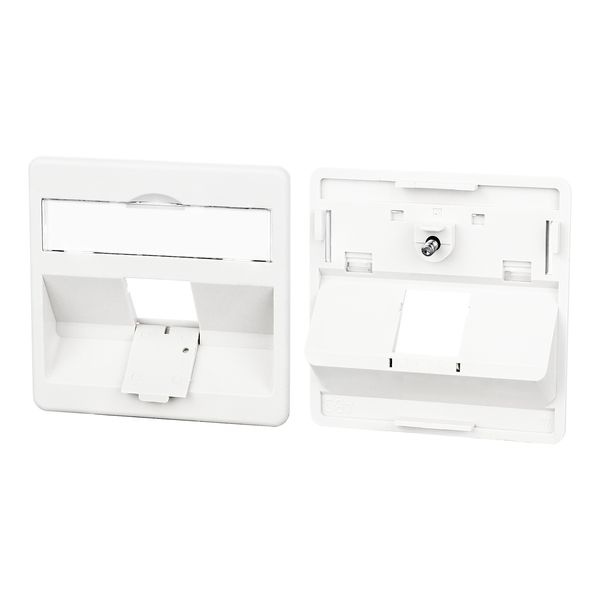 Central plate 50 x 50 mm 1 port, pure white, modul image 1