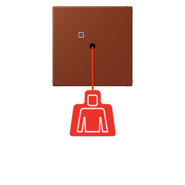 Pull cord push-button LC4320D NRSLC0834ZT247 image 1