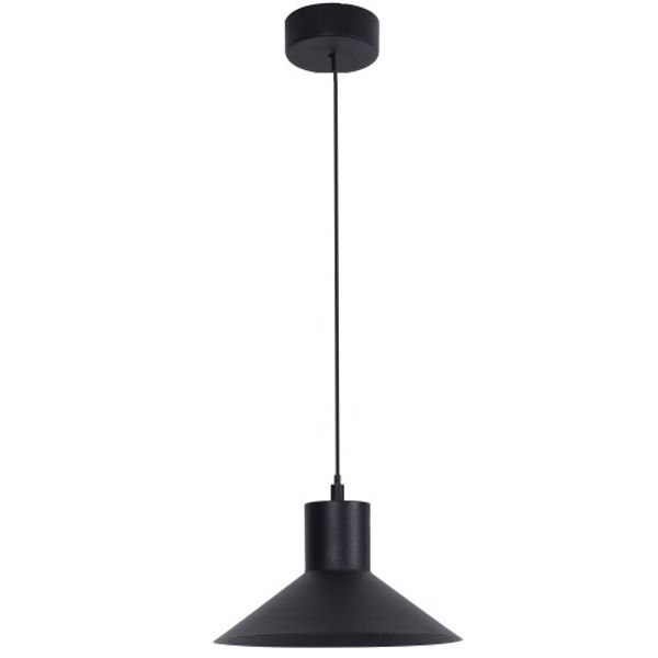 Pendant Light Black D220 Forma image 1