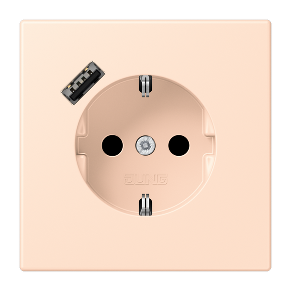 SCHUKO socket with USB charger LC32091 LC1520-18A228 image 1