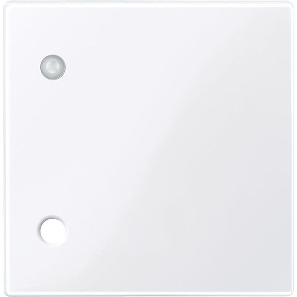 Central plate for pull button, active white glossy, system M image 1