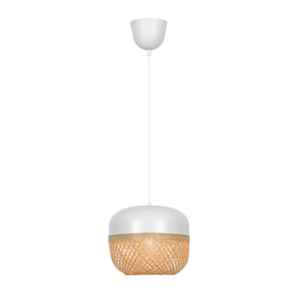 Pendant Lamp Saline image 1