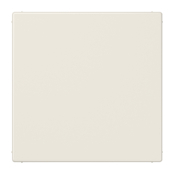 Blank centre plate LS994B image 4