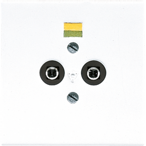 Potential equalisation socket LS965-2WW image 1