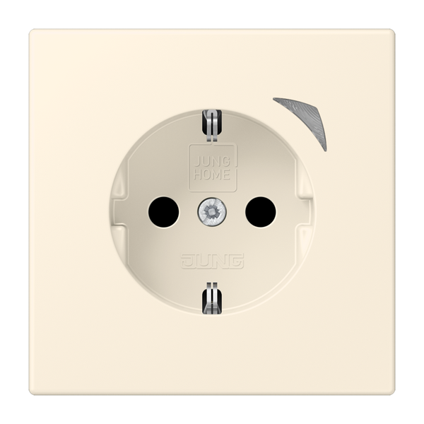 JUNG HOME SCHUKO socket Energy BTLC1521SE245 image 1