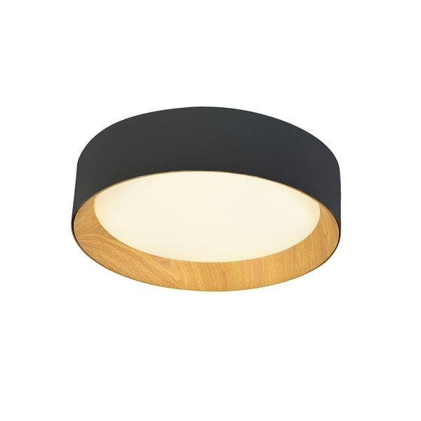 Lea LED Ceiling Flush Light 60W 3020Lm 3000ºK Black image 1