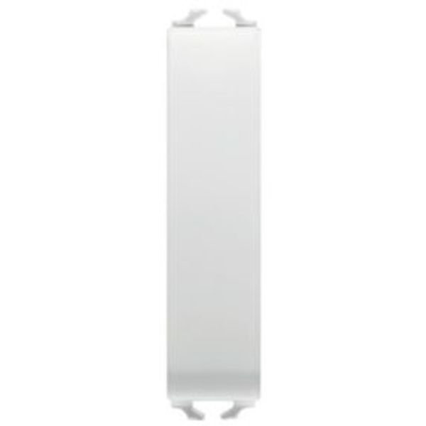 BLANKING MODULE - 1/2 MODULE - SATIN WHITE - CHORUSMART image 1