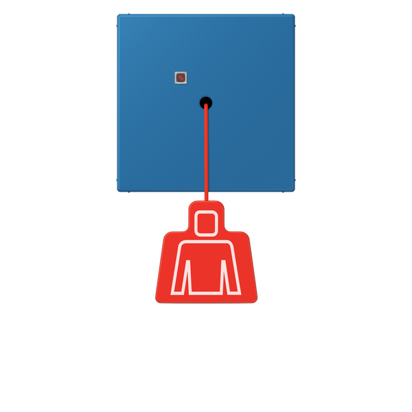 Pull cord push-button LC32030 NRSLC0834ZT211 image 1