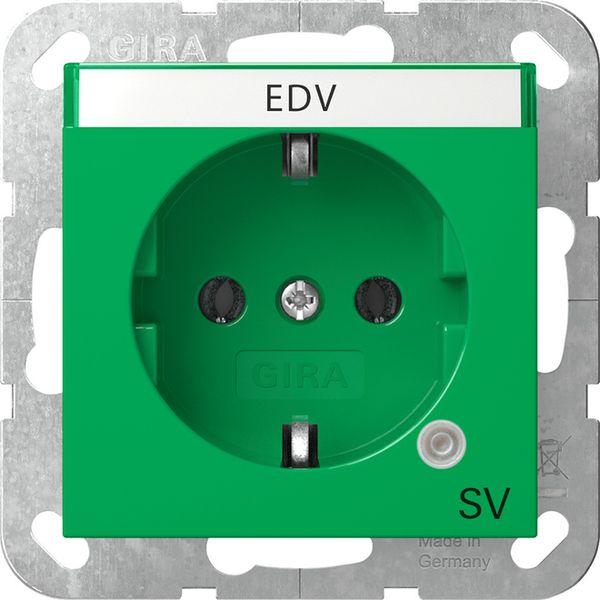 SCHUKO ctrl.l.GN + in.sp. impr.SV System 55 green image 1