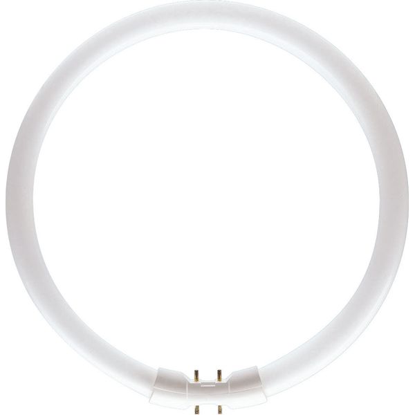 Circular Fluorescent Tube 2GX13 55W/830 T5 D302 PATRON image 1