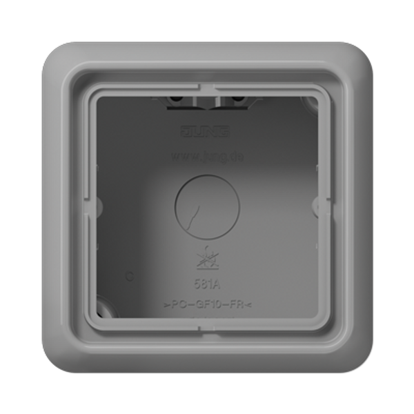 Spec.Surface Cap w. integr. frame 1-gang CD581AGR image 3