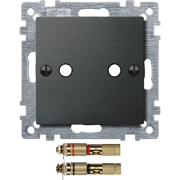 Central plate with high-end speaker connector, anthracite, System M image 1