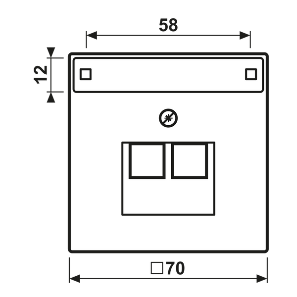 Centre pl.f.2-gang mod. jack sockets AL2969-2NAUA image 4