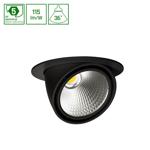 SAL SILENA FRUIT 27W 230V 36DEG BLACK image 1