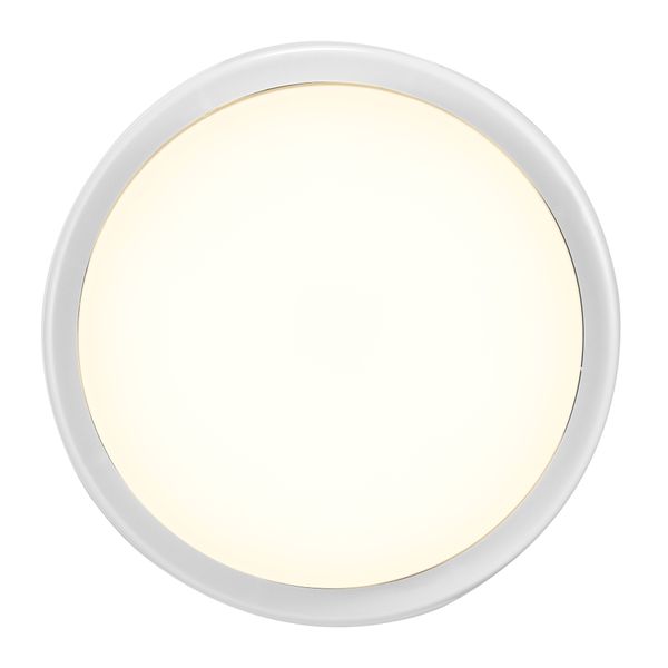 Cuba Bright Round | White image 1