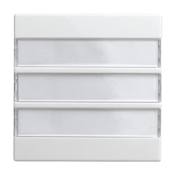 1576 C-914 CoverPlates (partly incl. Insert) Busch-balance® SI Alpine white image 4