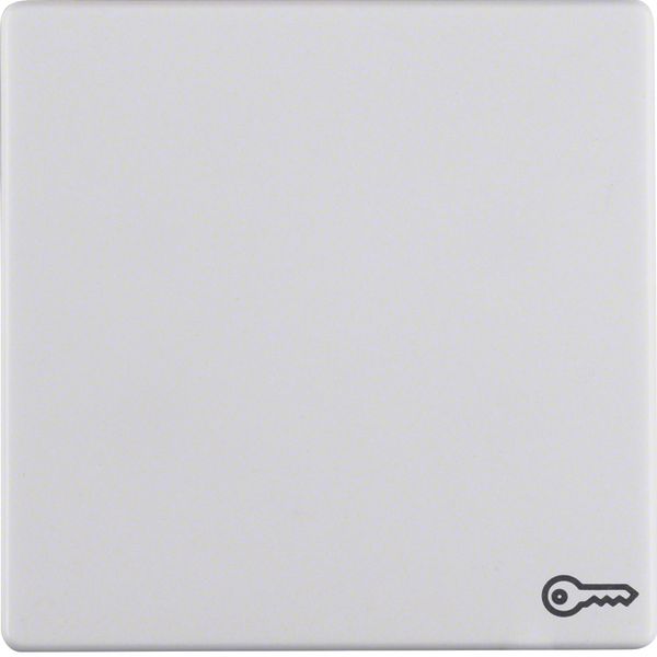 Rocker imprinted symbol for door opener, Q.1/Q.3, p. white velvety image 1