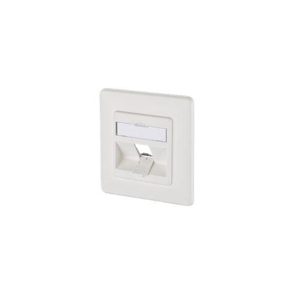 Keystone wall outlet flush mounted 1 port unequipped pure white image 3