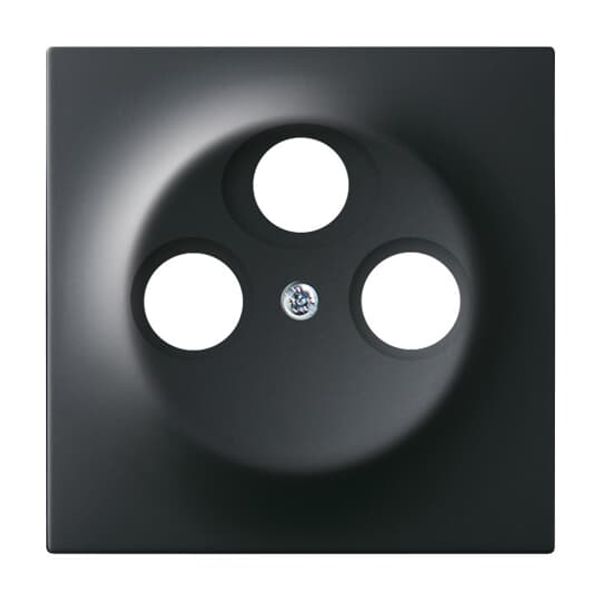 1743-775 CoverPlates (partly incl. Insert) carat® black matt image 7