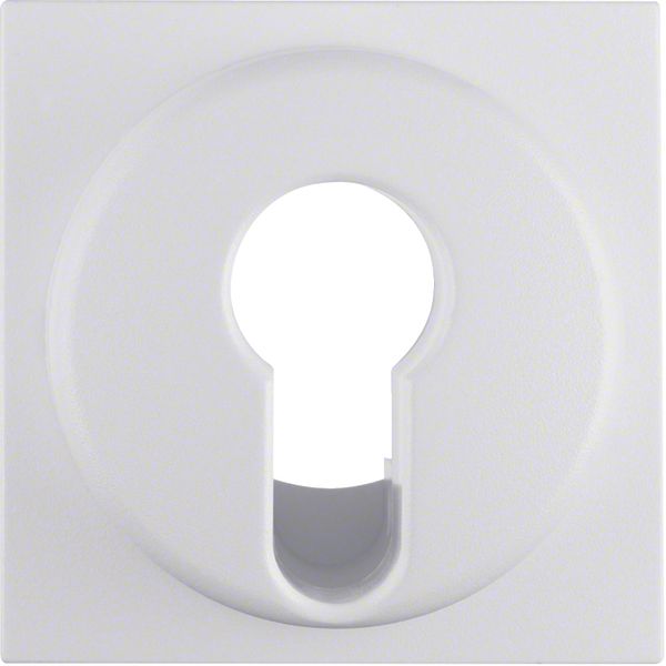 Centre plate for key switch/key push-button, Q.1/Q.3, p. white velvety image 1