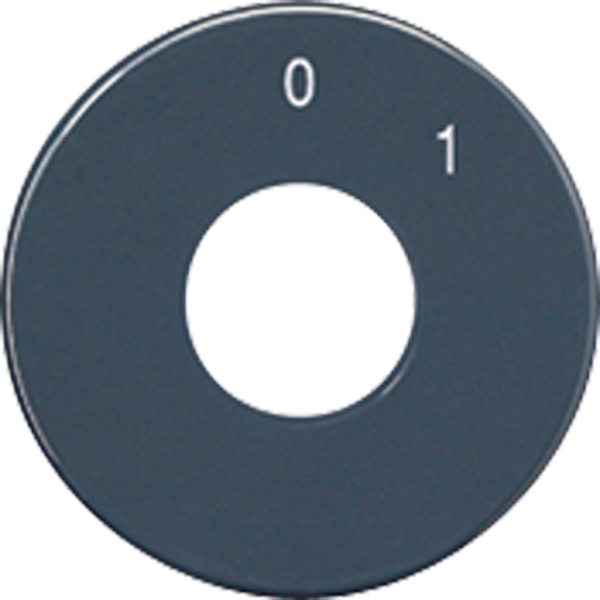 Spare scale disc SKS1101-20 image 1