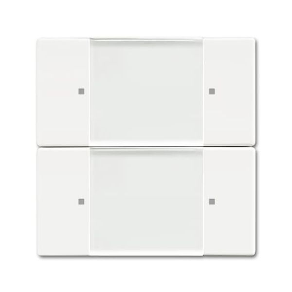 6736/01-884 CoverPlates (partly incl. Insert) Remote control studio white matt image 2