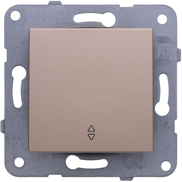 Karre Plus-Arkedia Bronze Two Way Switch image 1