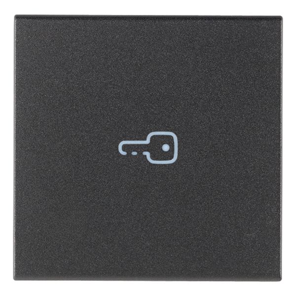 Axial button 2M key symbol grey image 1