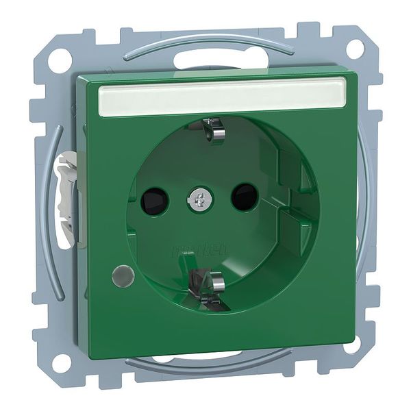 SCHUKO socket, special circuit, control light, label, touch protection, plug-in terminals, SV, green, system M image 1