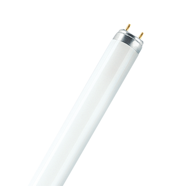 Lamp T8 30W  900 mm warmwhite image 1