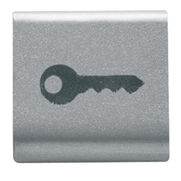 INTERCHANGEABLE BUTTON KEY - 22X22mm - KEY - TITANIUM - CHORUSMART image 1