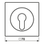 Centre plate f. key switch LS928SWM thumbnail 3