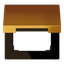 Centre plate with hinged lid LS990KLGGO thumbnail 13