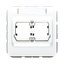 Center plate f. modular jack ACS CD569-21ACSWW thumbnail 3