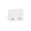 CHLOE DUO 2XGU10 IP20 rectangle white regulated eye thumbnail 14