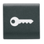 INTERCHANGEABLE BUTTON KEY - 22X22mm - KEY - SATIN BLACK - CHORUSMART thumbnail 1